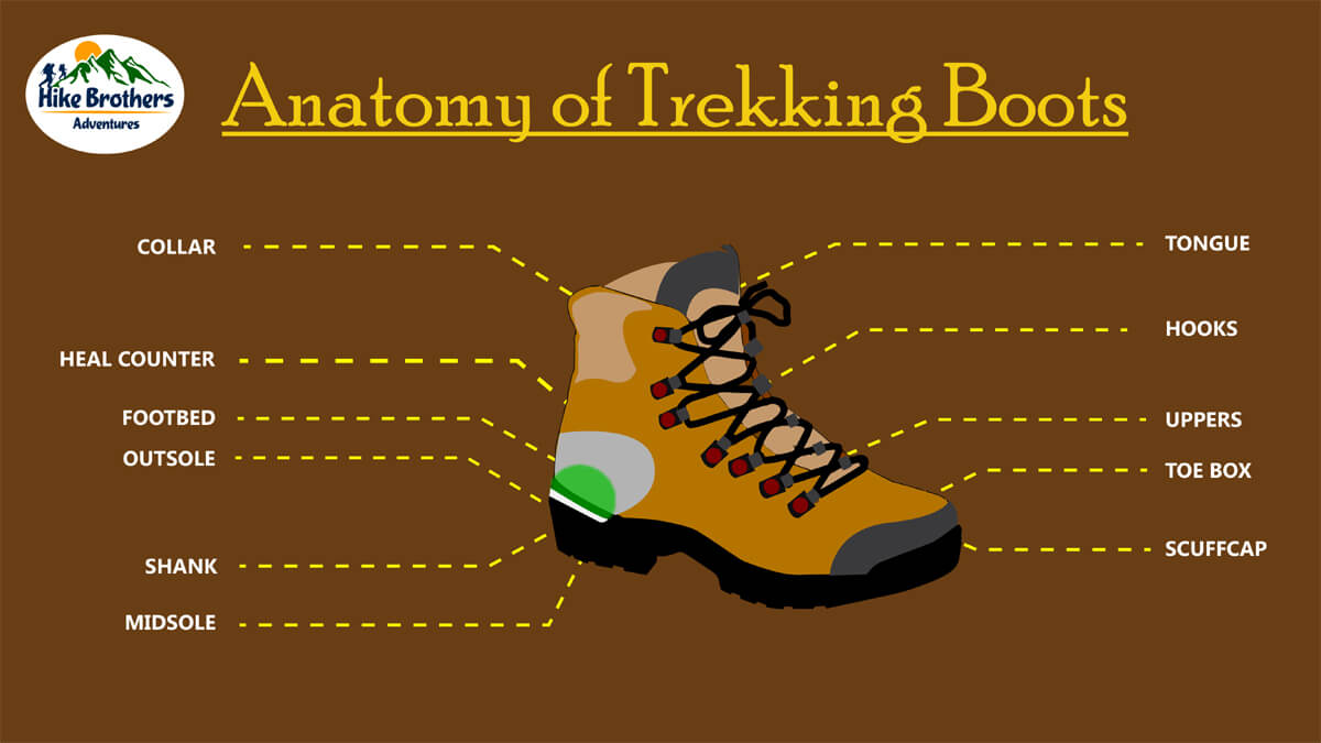 Anatomy of trekking shoes. Anatomy of trekking shoes.