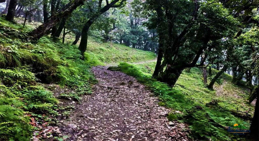 nag tibba trek distance